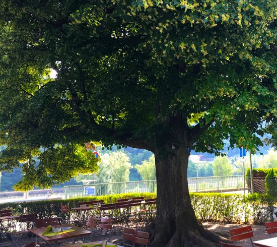 biergarten_kornexl_4